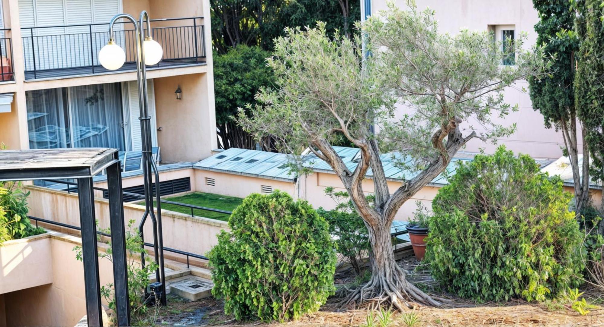 Appartement Precioso Reformado En 1a Linea De Mar Sin Vistas Calella De Palafrugell